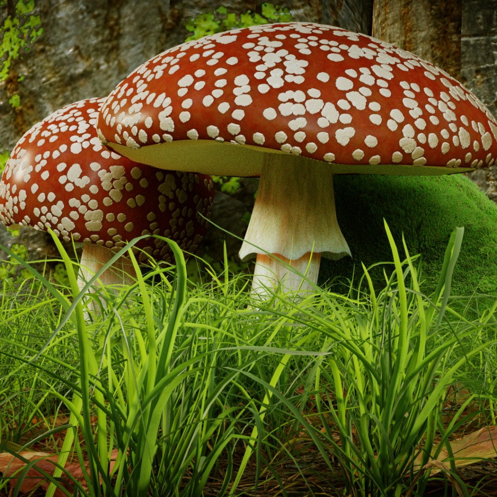 Fly Agaric / Fliegenpilz preview image 1